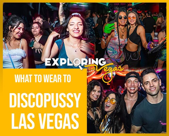 What_to_wear_to_discopussy_Las_Vegas-ev