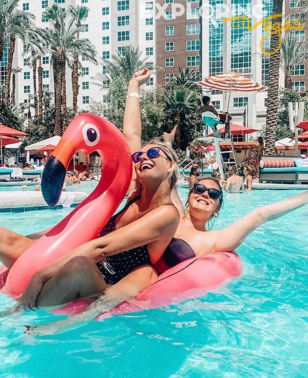 flamingo-floatie