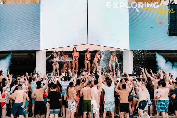 dj-booth-palm-tree-beach