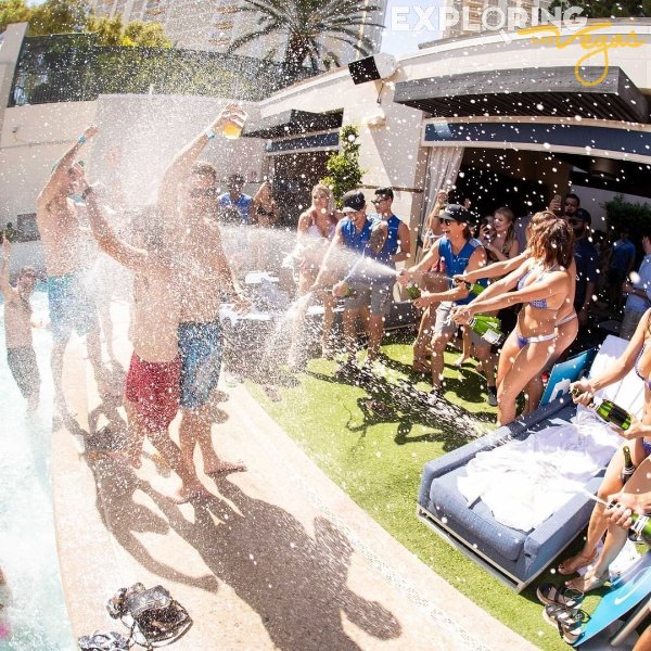 palm-tree-champagne-spray