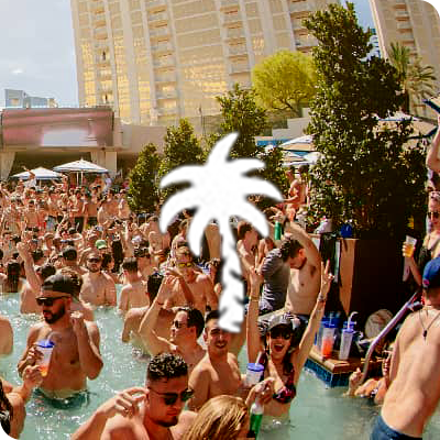 palm-tree-beach-club