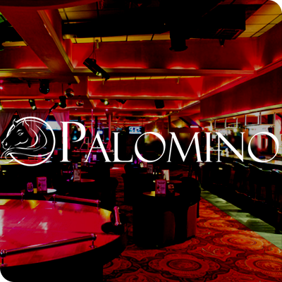 palomino