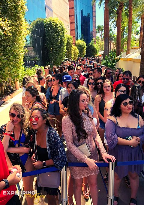 ev-wetrepublic-line