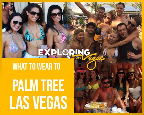 what-to-wear-to-palm-tree-las-vegas-ev
