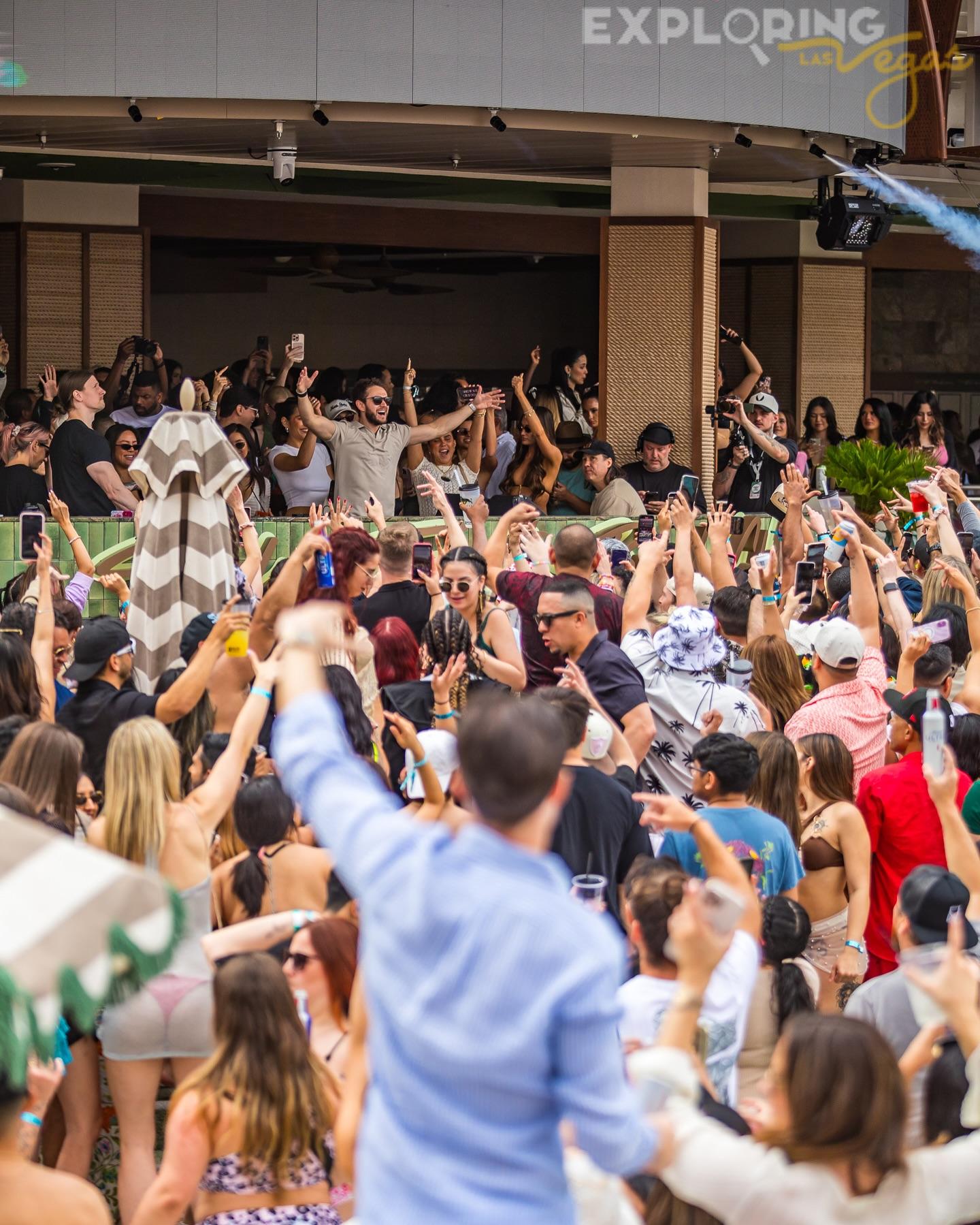 zedd pool party